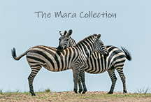 Mara Collection 2019 - video